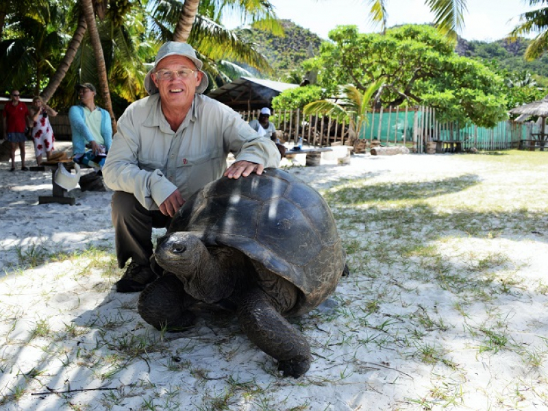 Ile Curieuse, Praslin (Seychelles) : tortue géante (2014) 