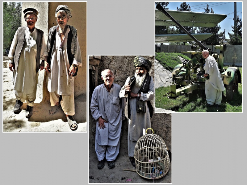 Afghanistan : à Balkh, à Kabul (au marché aux oiseaux), à Herat (2019)